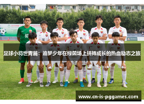 足球小将世青篇：追梦少年在绿茵场上拼搏成长的热血励志之旅