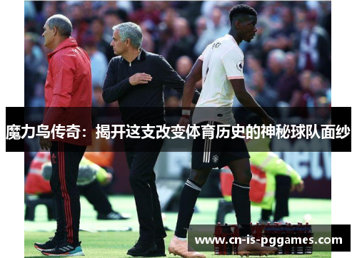 魔力鸟传奇：揭开这支改变体育历史的神秘球队面纱